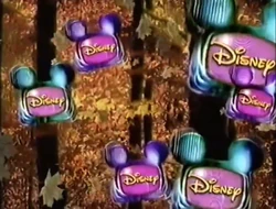 Fall BRB Bumper 2000