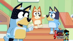 2023-02-05 0030am Bluey