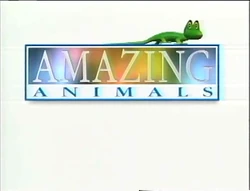 Amazing Animals title card