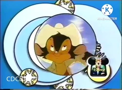Winter BRB Bumper 1997