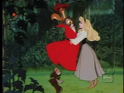 1999-02-13 1900pm Sleeping Beauty