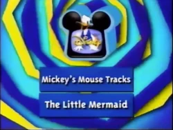 Next Bumper (Afternoon 8)