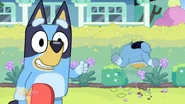 Bluey June 20, 2025; 6:00pm