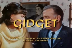 Gidget title card