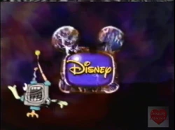Zoog Halloween BRB Bumper 2000