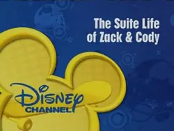 DisneySkateboard2008