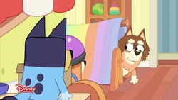 2025-02-01 0500am Bluey