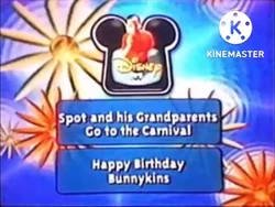 Next Bumper (Flowers)