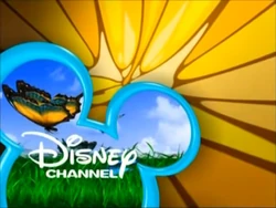 Next Butterflies Yellow