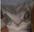Nleelp's avatar
