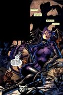 Catwoman Earth-31 004