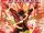 The Flash Vol 3 001 Second Printing.jpg