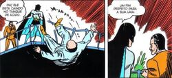 Batman Terra-Dois 0011