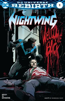 Nightwing Vol 4 11 Variant