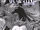 Detective Comics Vol 2 1 4th Printing.jpg
