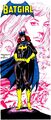 Batgirl Barbara Gordon 0002