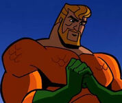 Aquaman Arthur Curry Sr. Televizní seriál Batman: Odvážný hrdina