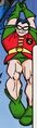 Robin Terra-508 DC Super Amigos