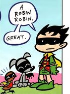 Robin Robin Johnny DC Mini Titãs