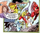 Liga da Justiça Túnel do Tempo A História de Barry Allen