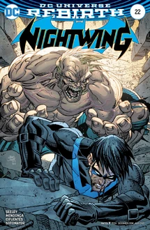 Nightwing Vol 4 22 Variant
