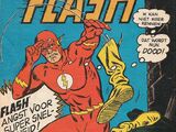 Flash (Barry Allen)