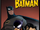 The Batman (cartone 2004)