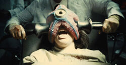 Starro Experiment