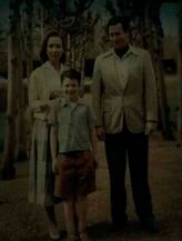 Flashpoint Wayne family