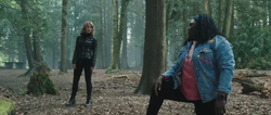 Adebayo looks for the helmet in the woods