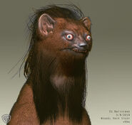 Weasel 7 by Ed Natividad