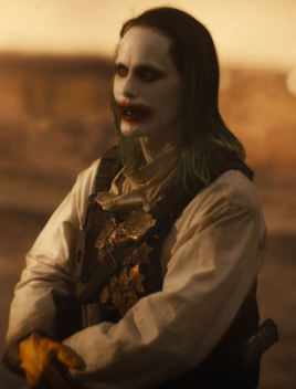 Knightmare Joker Updated Profile