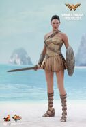 Diana of Themyscira 1:6 scale posable figure