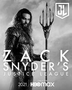 Aquaman Snyder Cut Character Poster