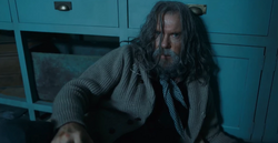 Bruce is found by the Barrys