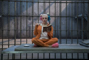 Harley Quinn holds tea and a book