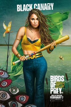 Birds Of Prey Dc Extended Universe Wiki Fandom