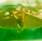 Doomsday (Spider Beast)