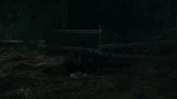 Economos breaks his leg.