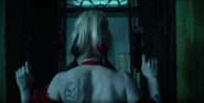 Harley Quinn - property of no one