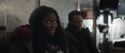 Adebayo talks with Smith about climate change