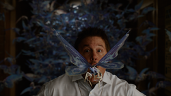 Larry Fitzgibbon killed by a butterfly