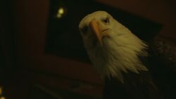 Eagly sees Smith depressed