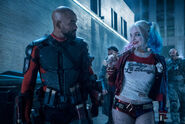 Harley and Deadshot