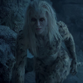 Cheetah cropped - WW84