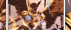 Hawkman lowers the thief's burning body