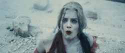 Harley Quinn sees  emerge.