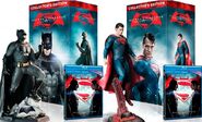 Collector's edition with Superman or Batman statue
