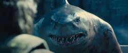 King Shark prepares to assassinate some soldiers