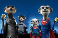 Meerkat Movies